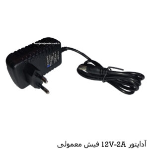 12V-2A